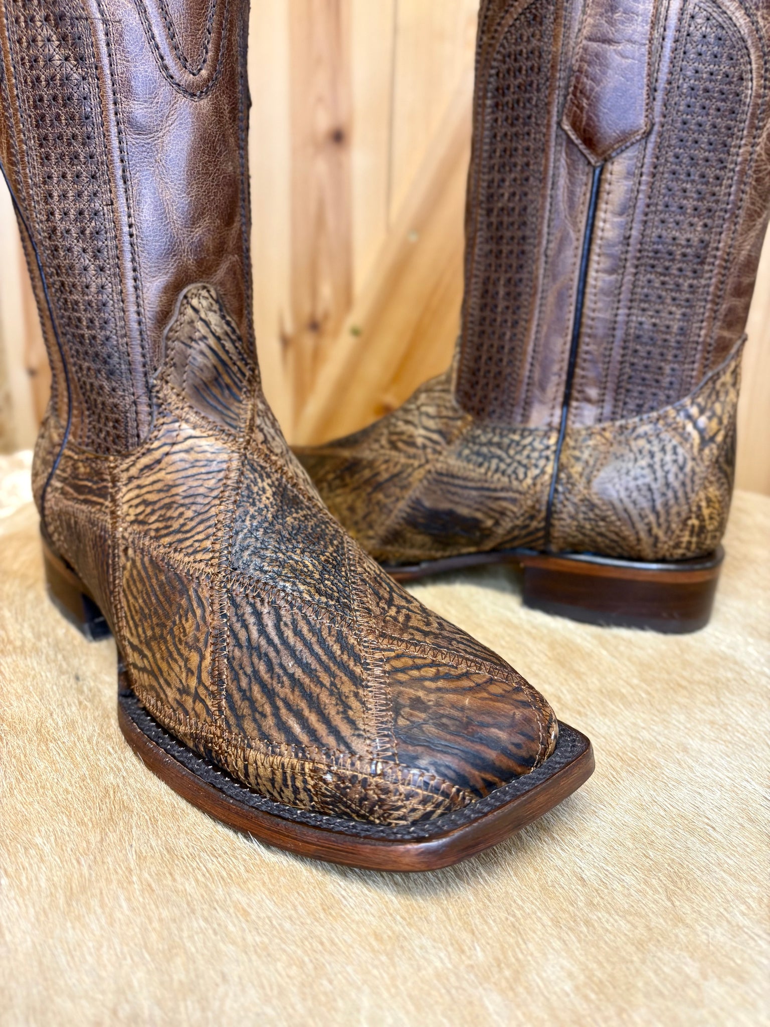 Camel Shark Patchwork